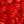 Red Lips (500g)